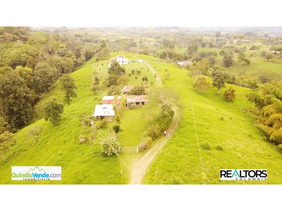 Finca chalet en Circasia de 6 cuadras en pasto