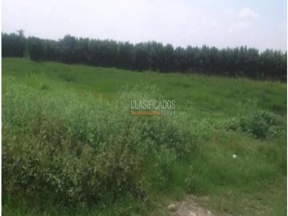 LOTE EN VENTA EN TOCANCIPA 80.000 M2