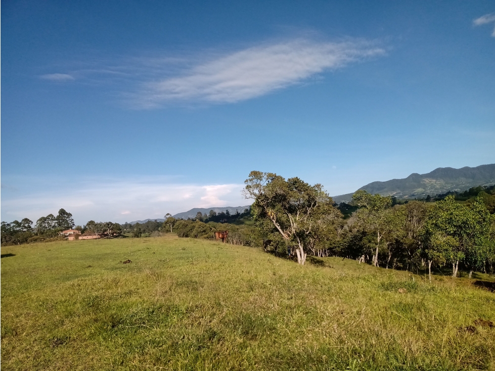 Vendo lote cabeceras Rionegro 67000m2 $8375'