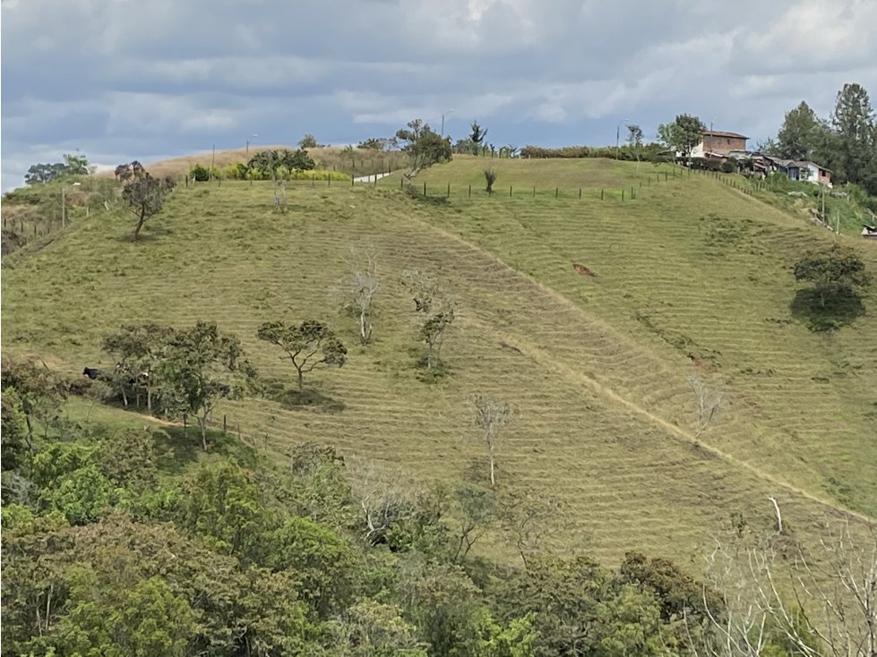 Venta De Lote En Cabeceras