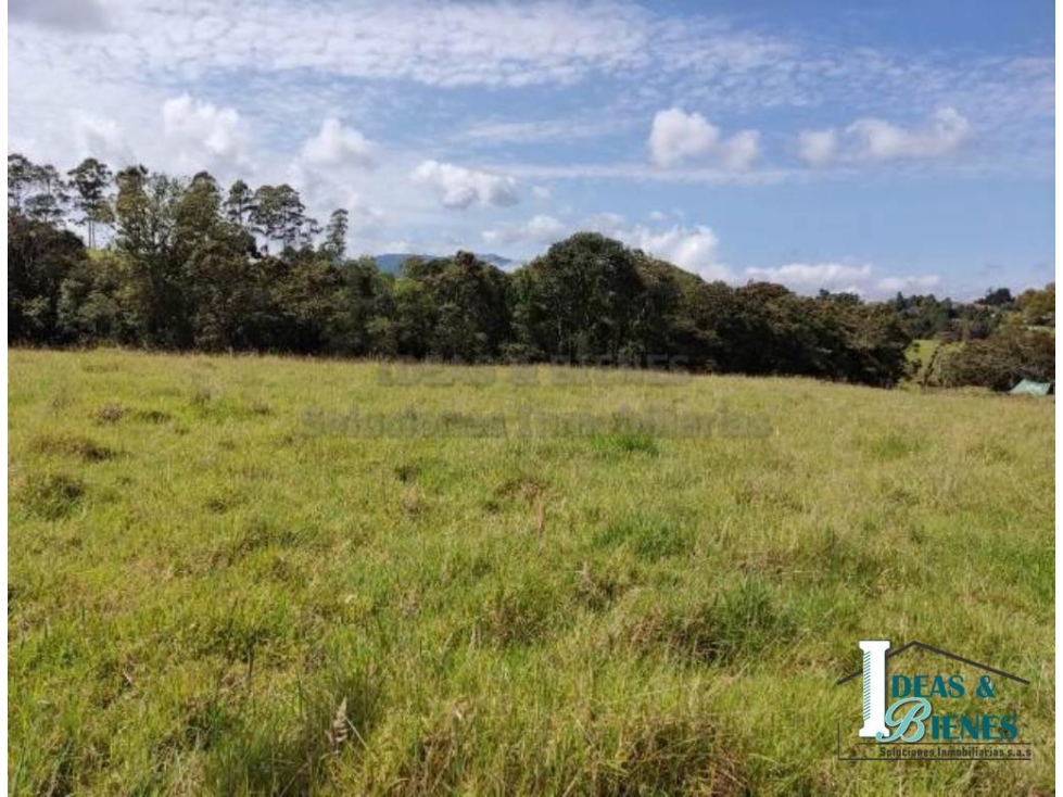 Lote En Venta Envigado Alto De Palmas
