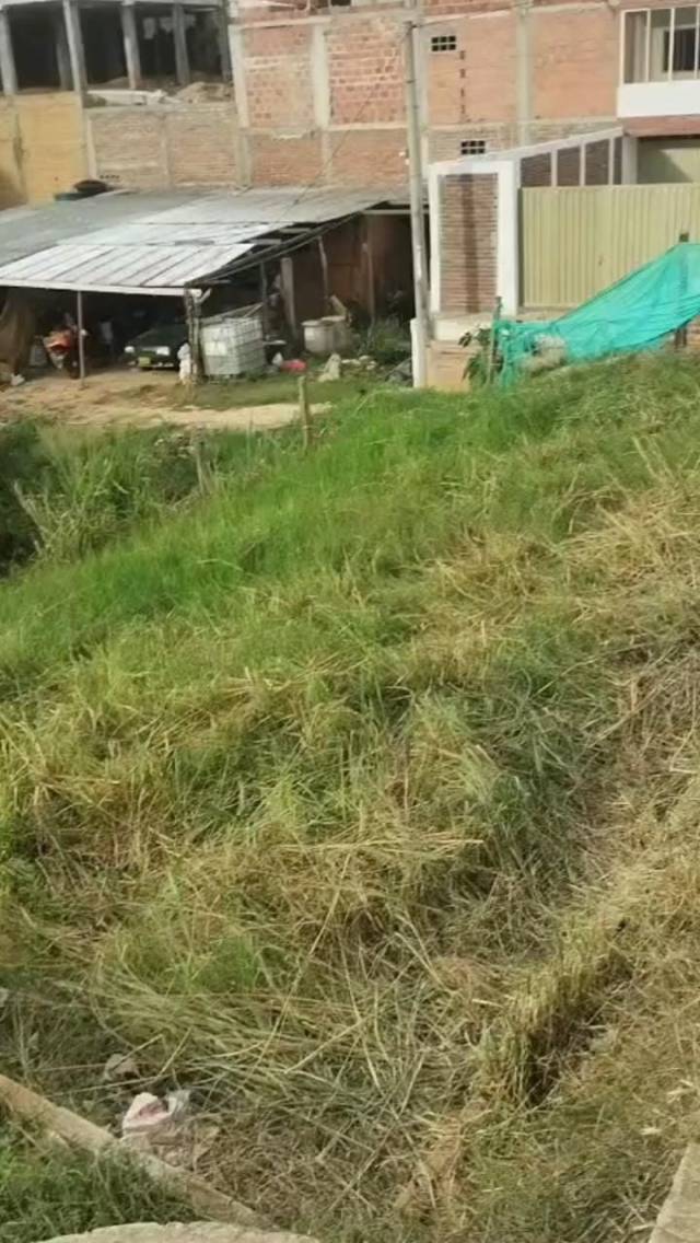 LOTES EN VENTA CENTRAL EN BUCARICA, FLORIDABLANCA